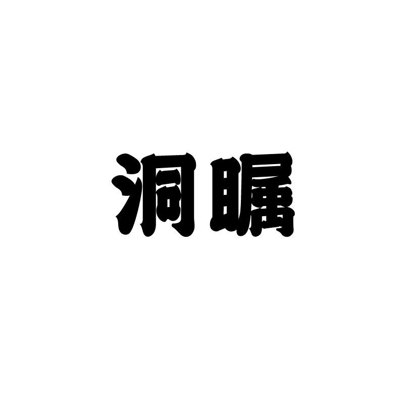 洞瞩 