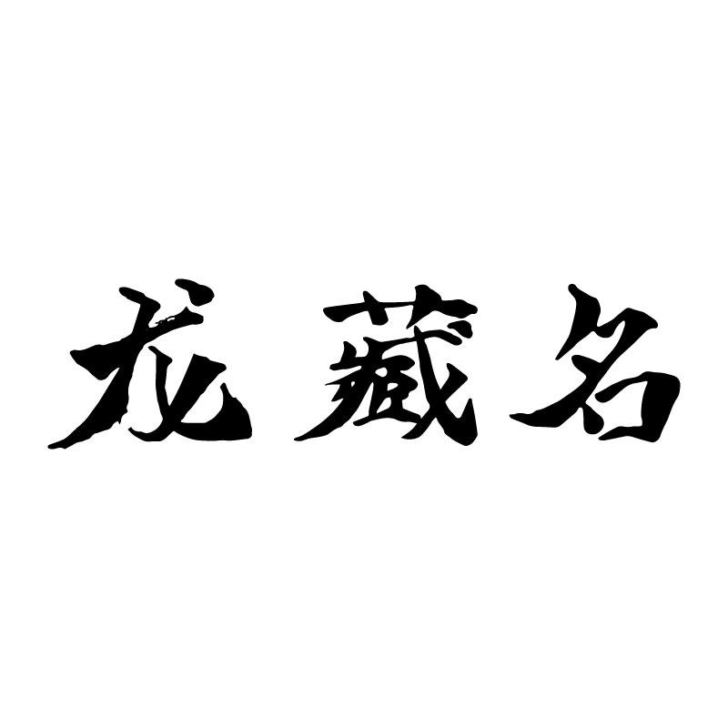 龙藏名 
