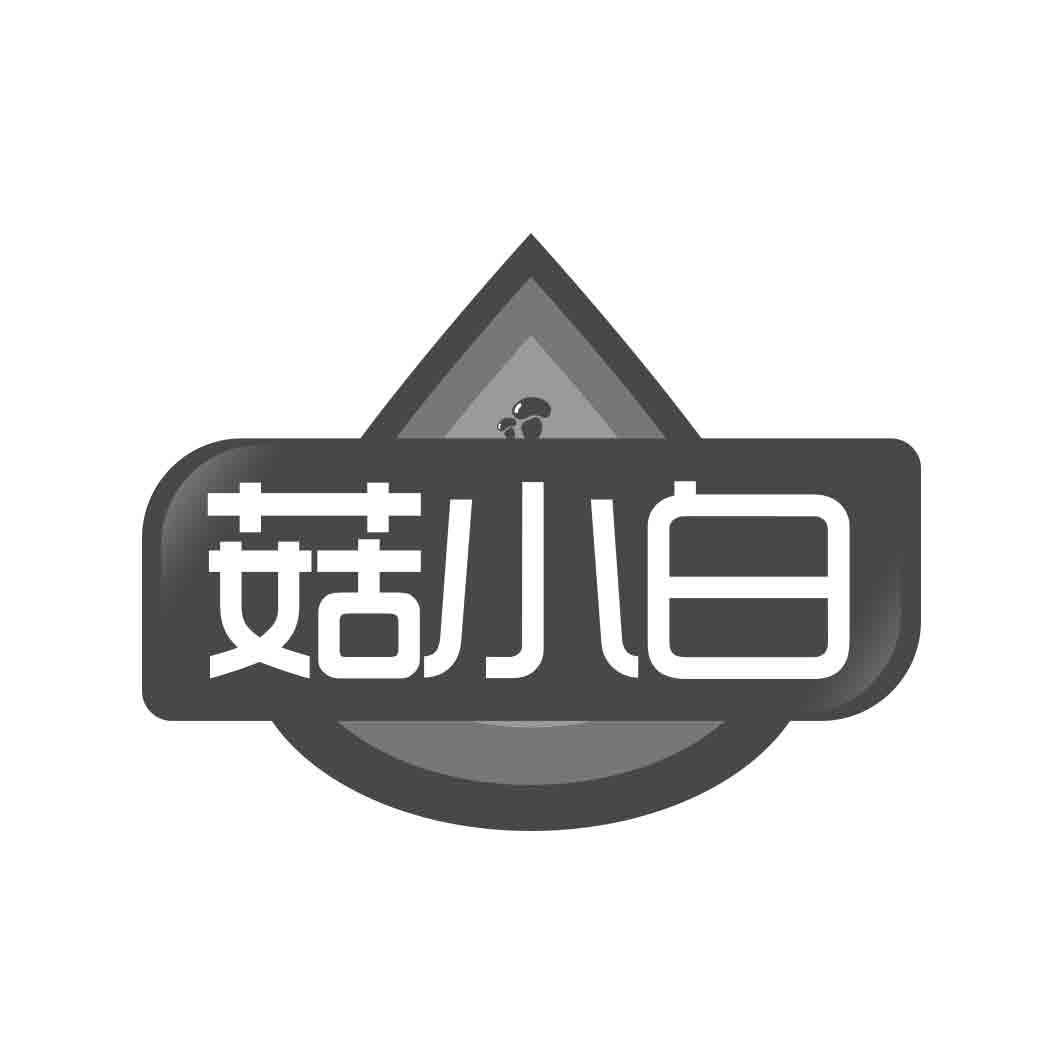 菇小白  