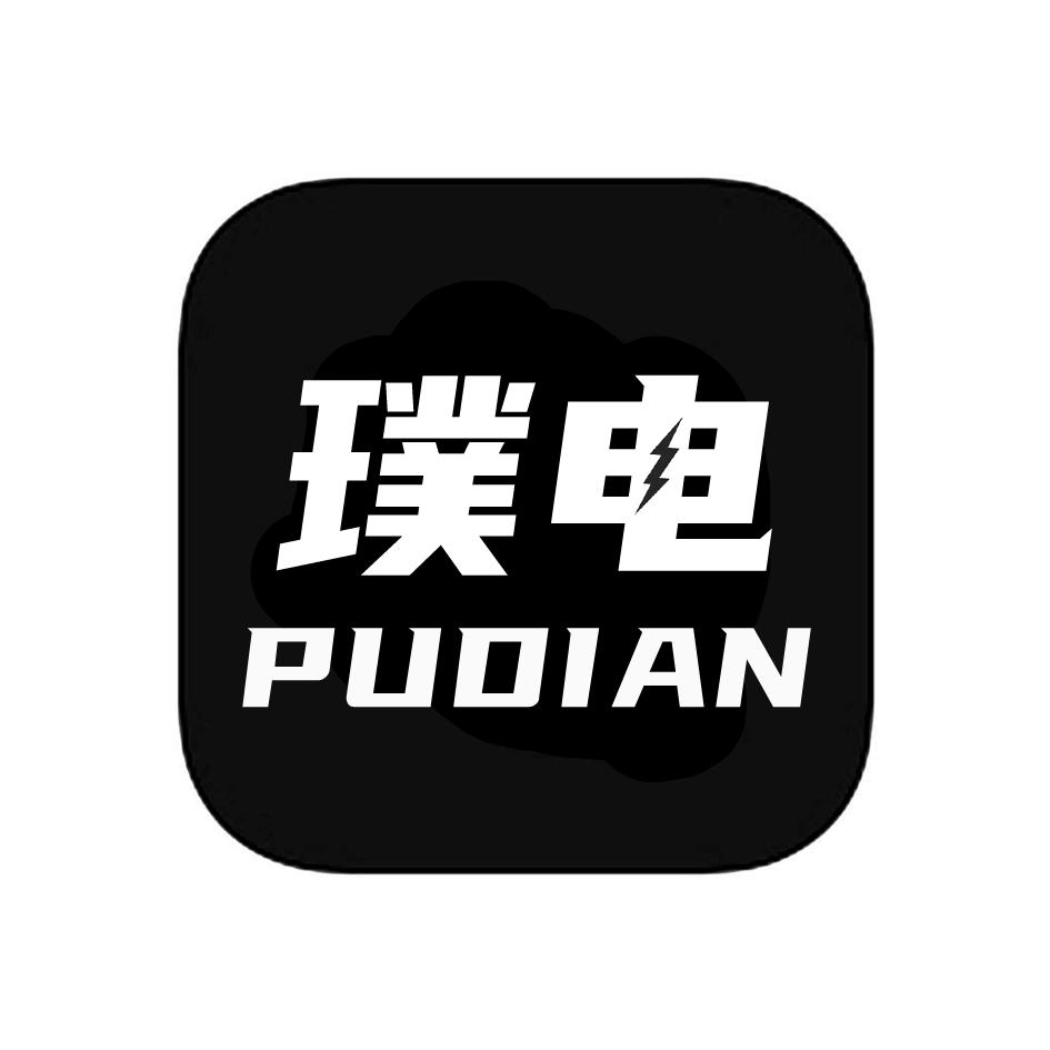 璞电PUDIAN