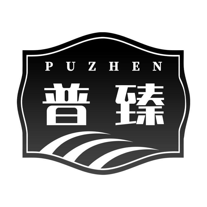 普臻