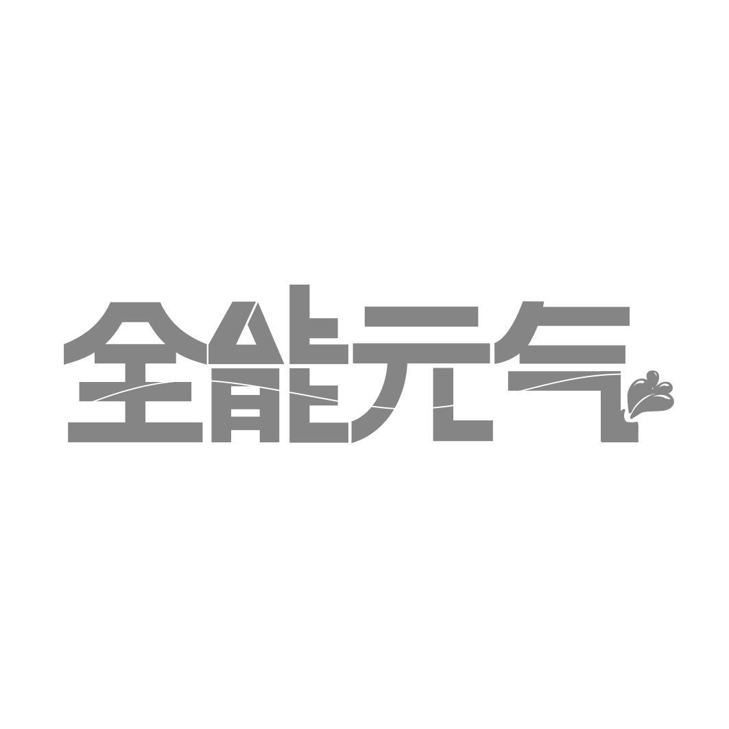 全能 气