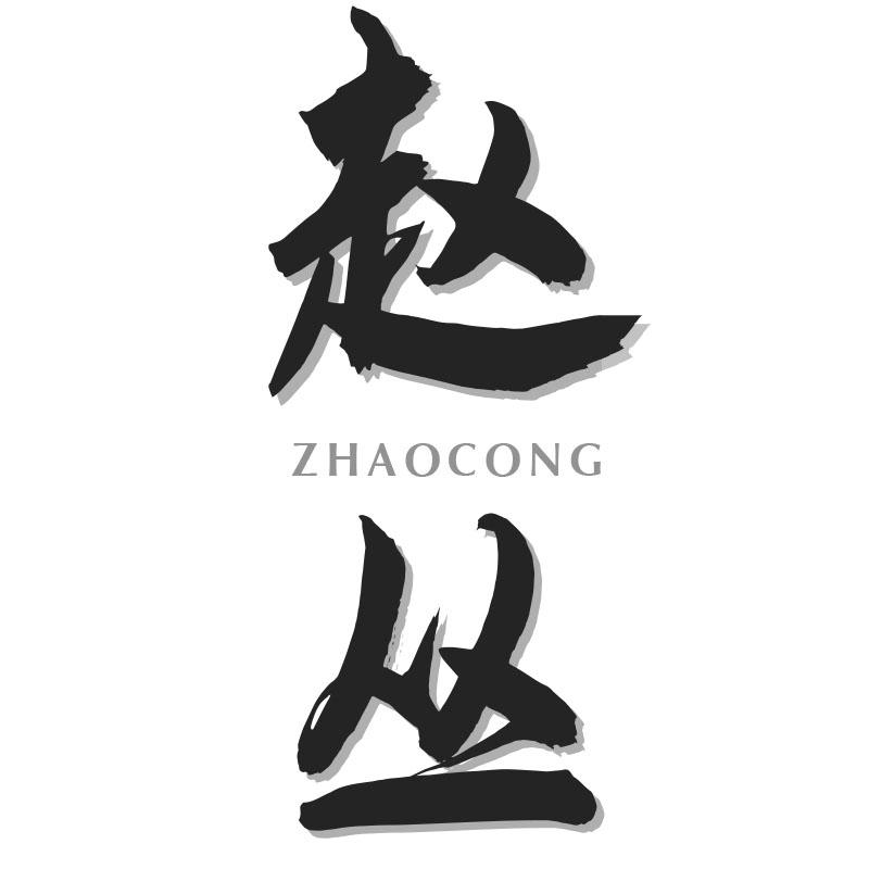 赵丛