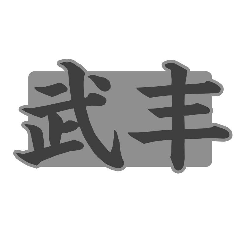 武丰