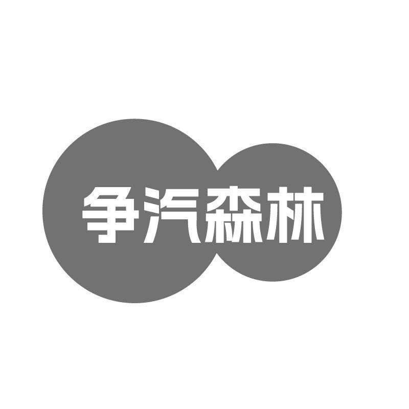 争汽森林