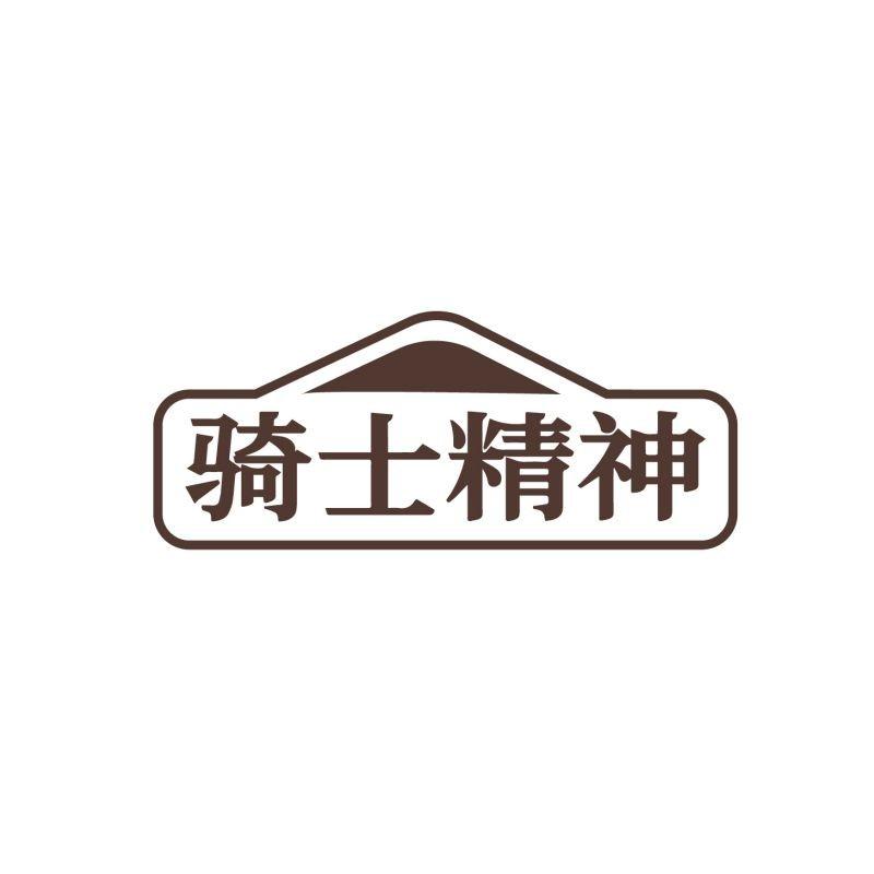 骑士精神