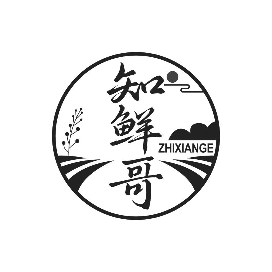 知鲜哥