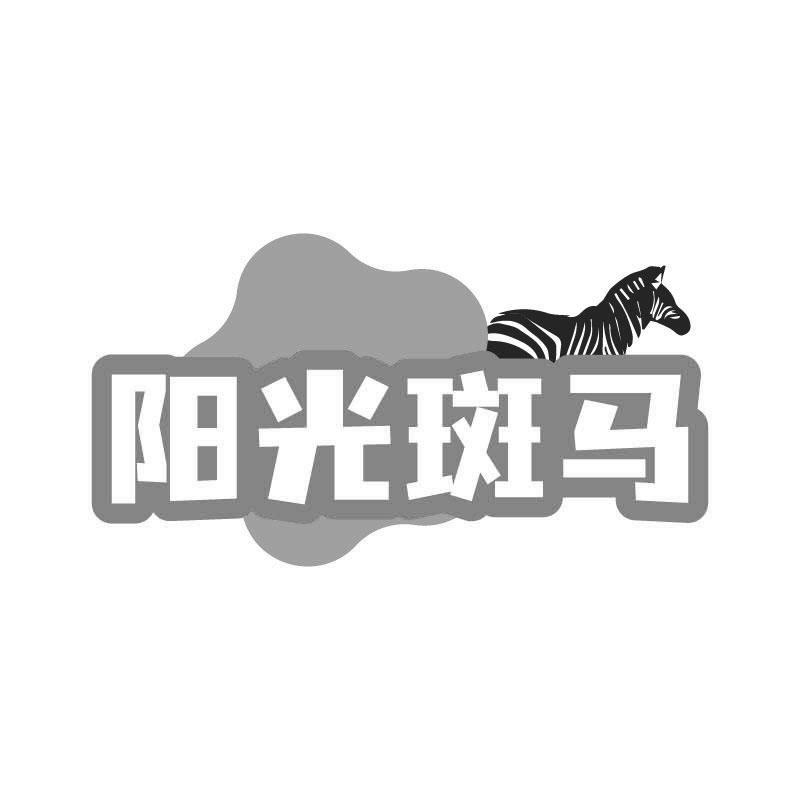 阳光斑马