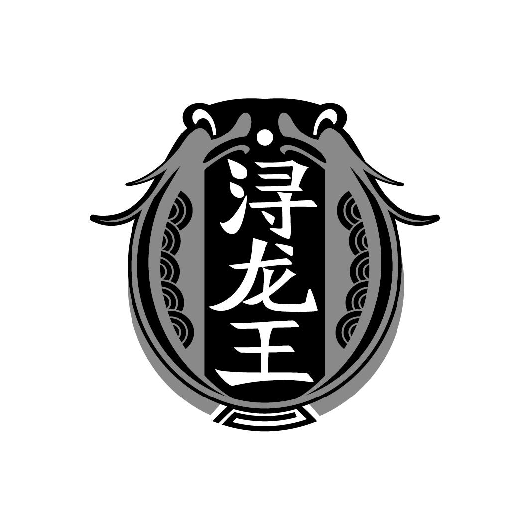 浔龙王