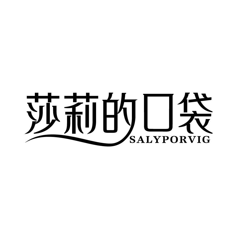 莎莉的口袋