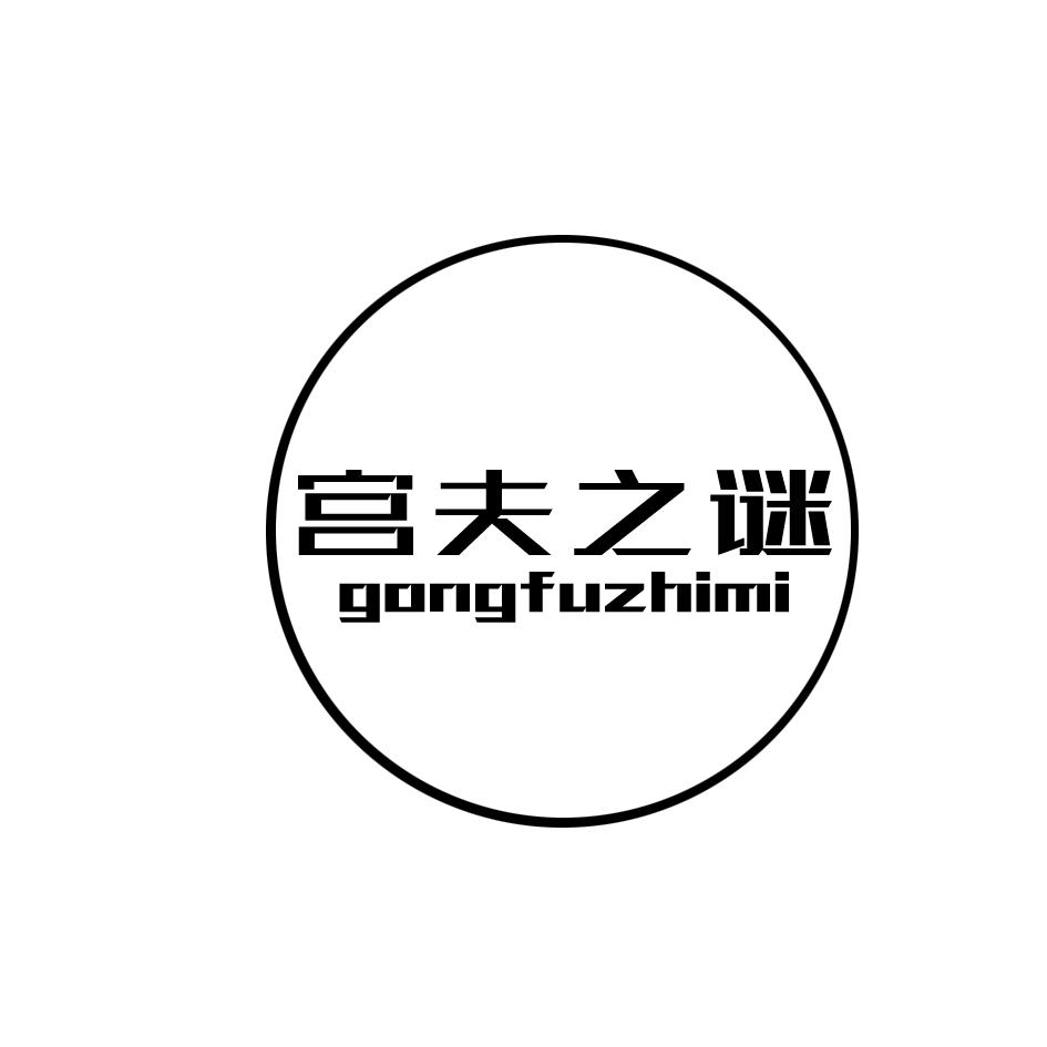 宫夫之谜GONGFUZHIMI