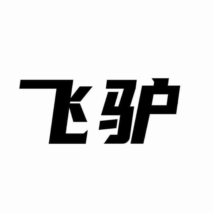 飞驴