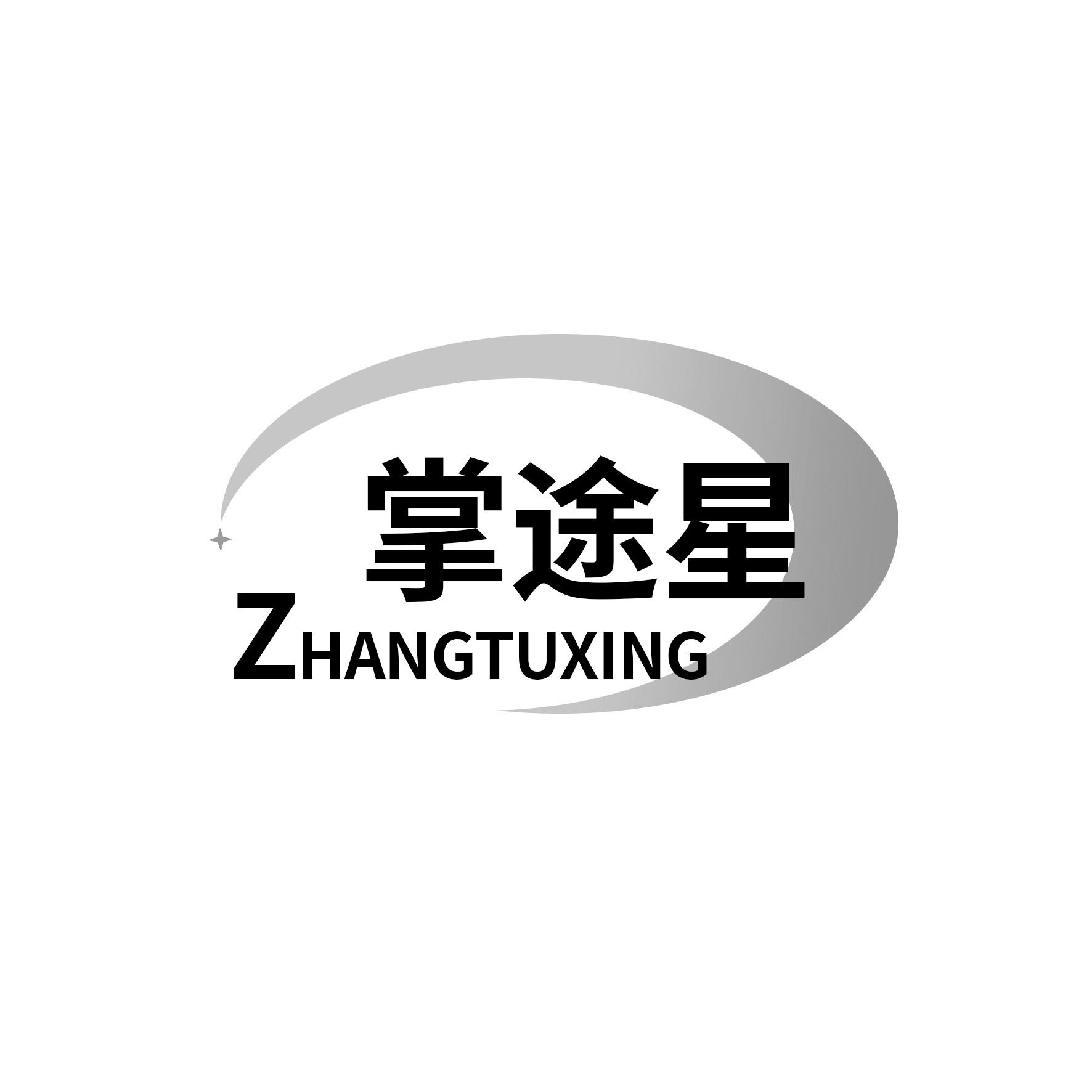 掌途星
