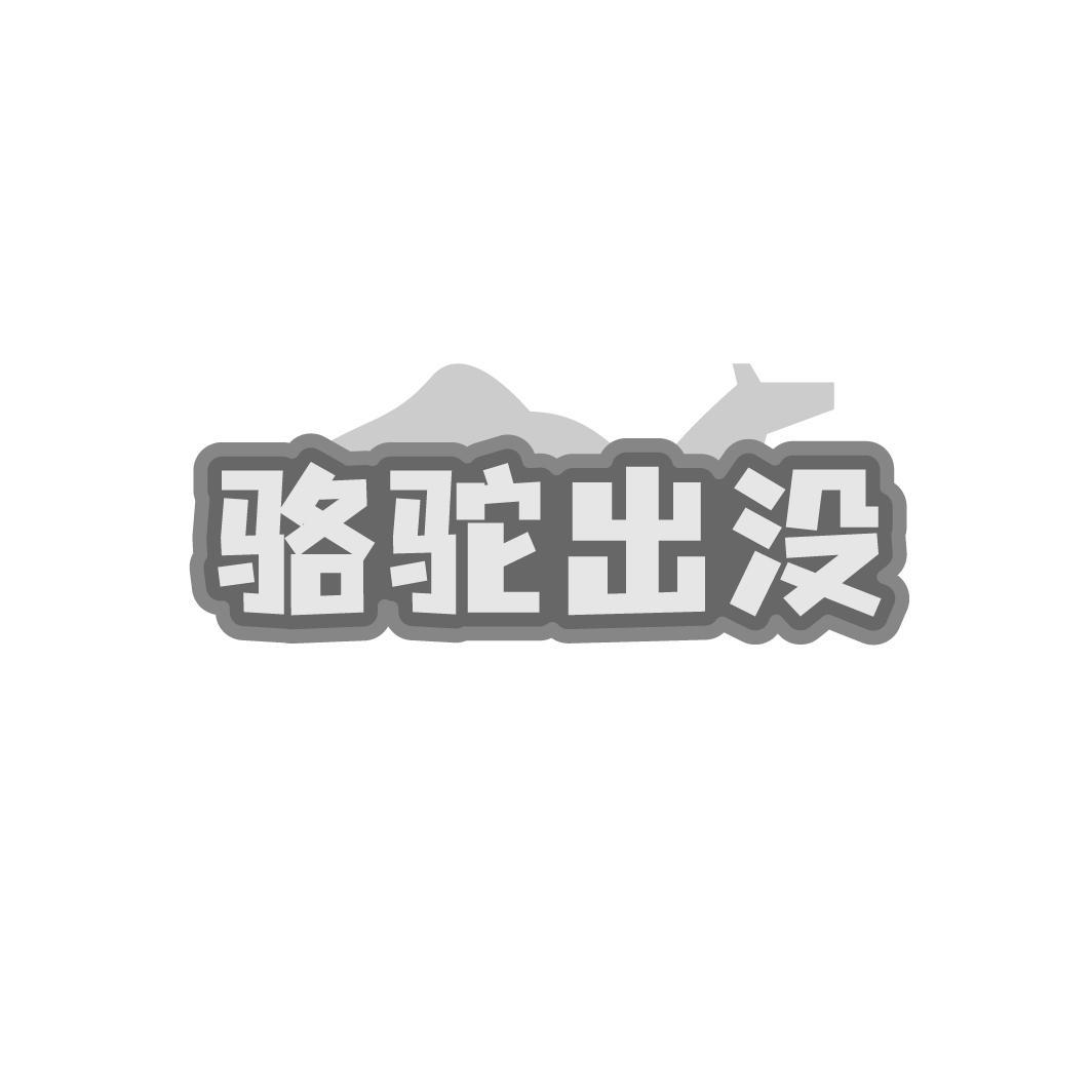 骆驼出没