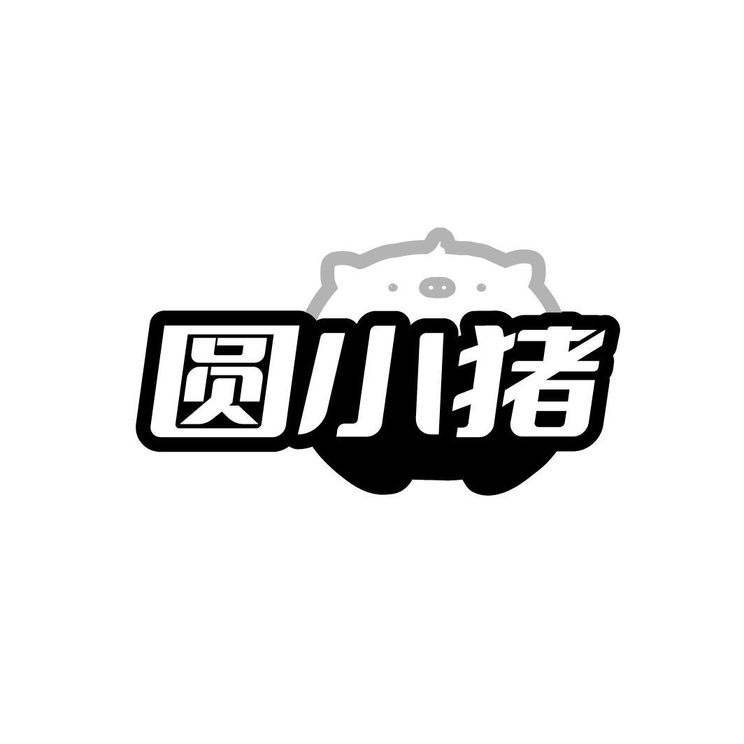 圆小猪
