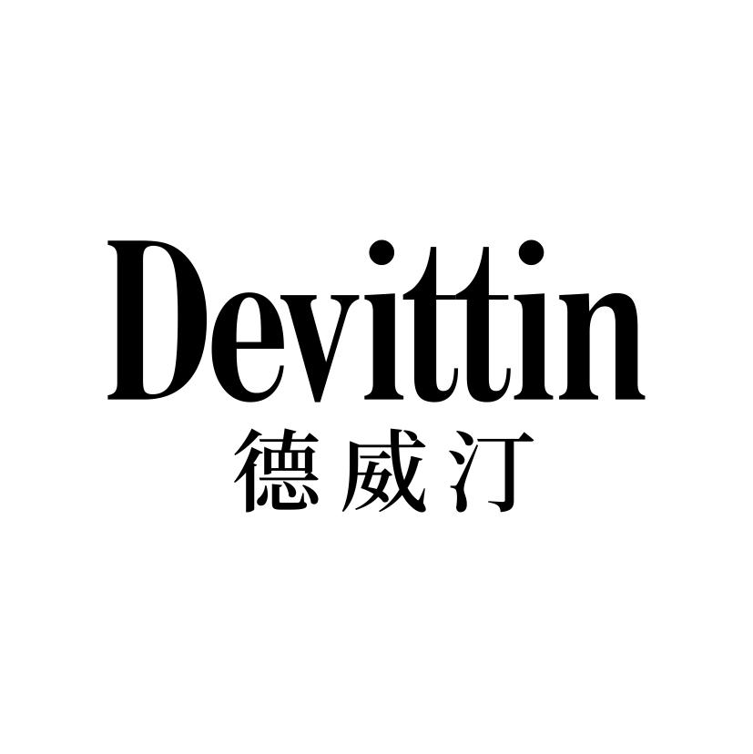 德威汀
DEVITTIN