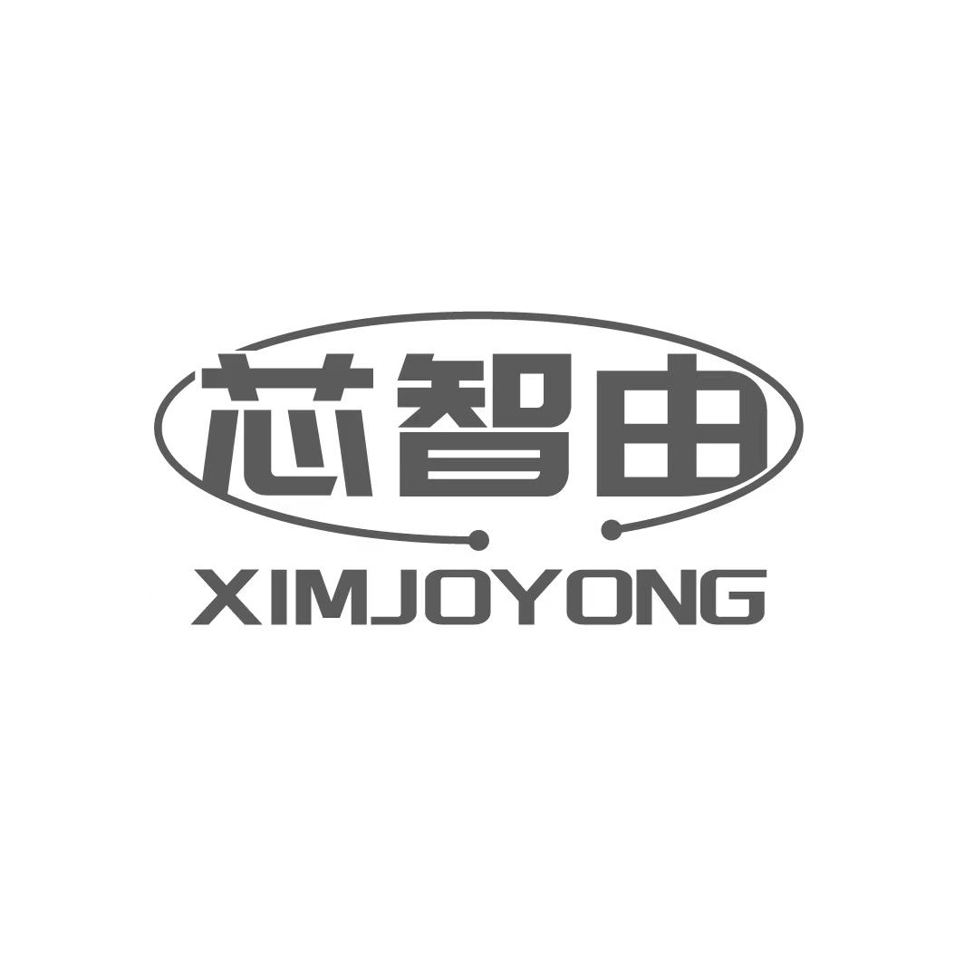 芯智由 XIMJOYONG