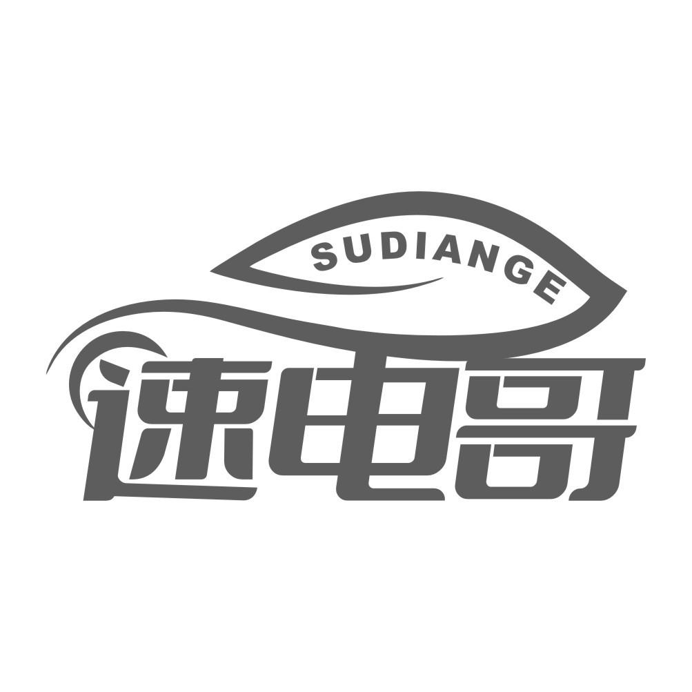 速电哥