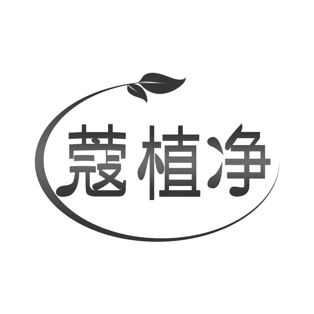 蔻植净