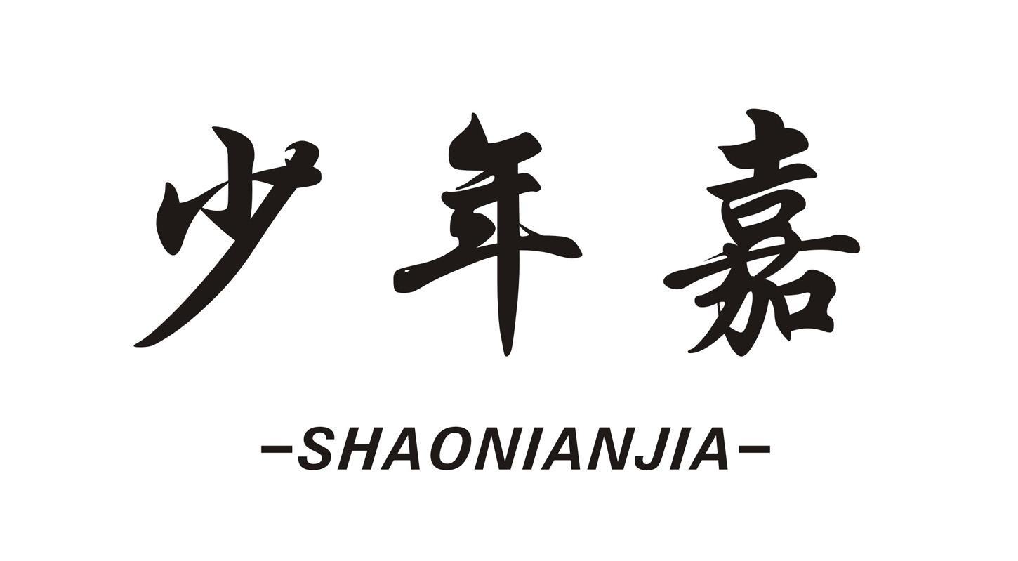 少年嘉