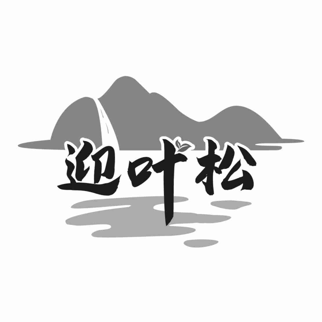 迎叶松