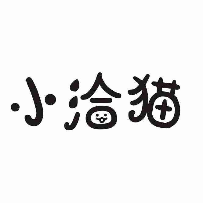 小洽猫