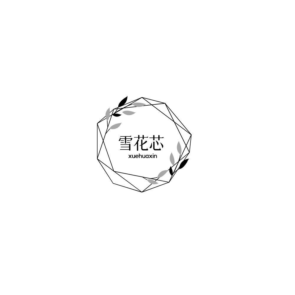 雪花芯XUEHUAXIN