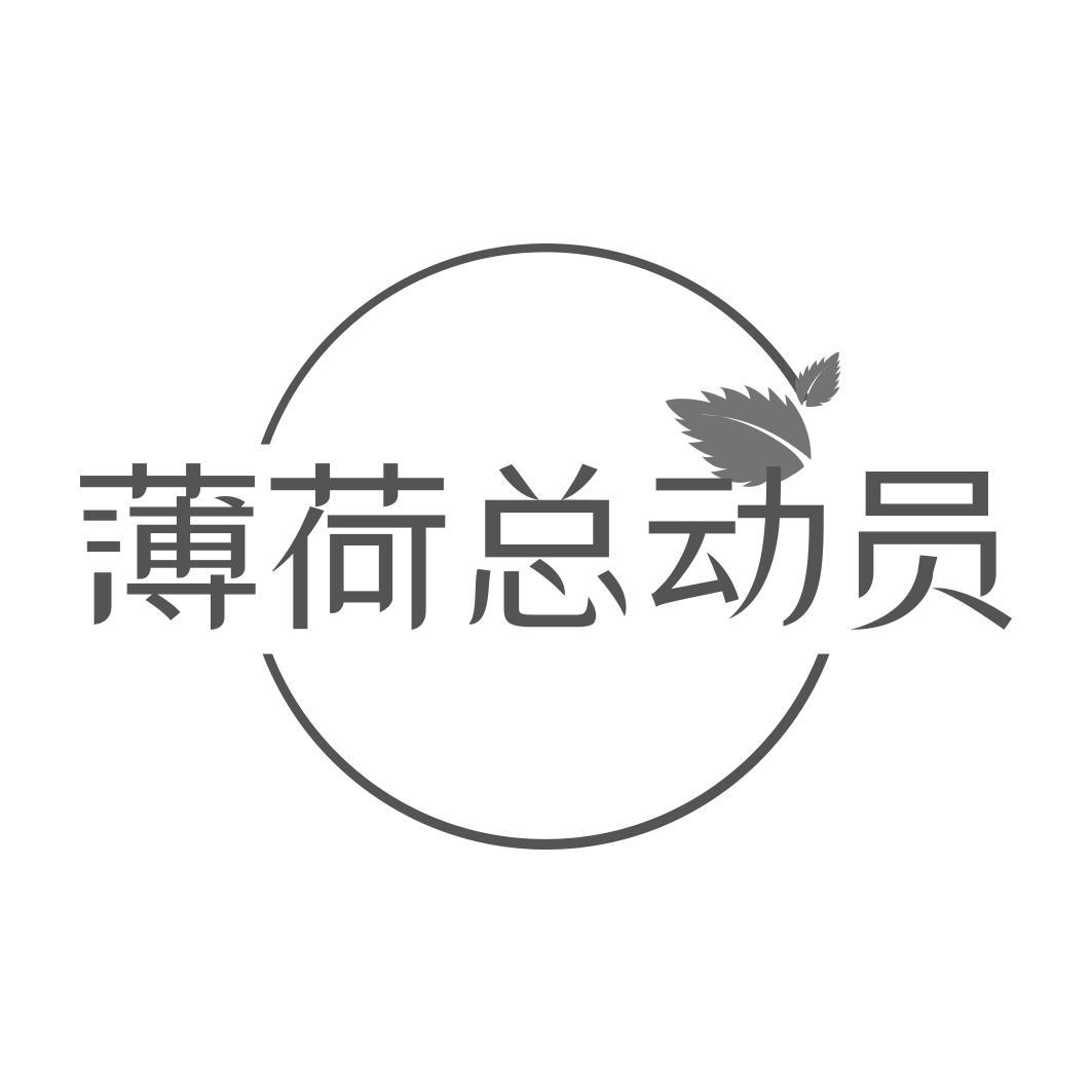薄荷总动员  