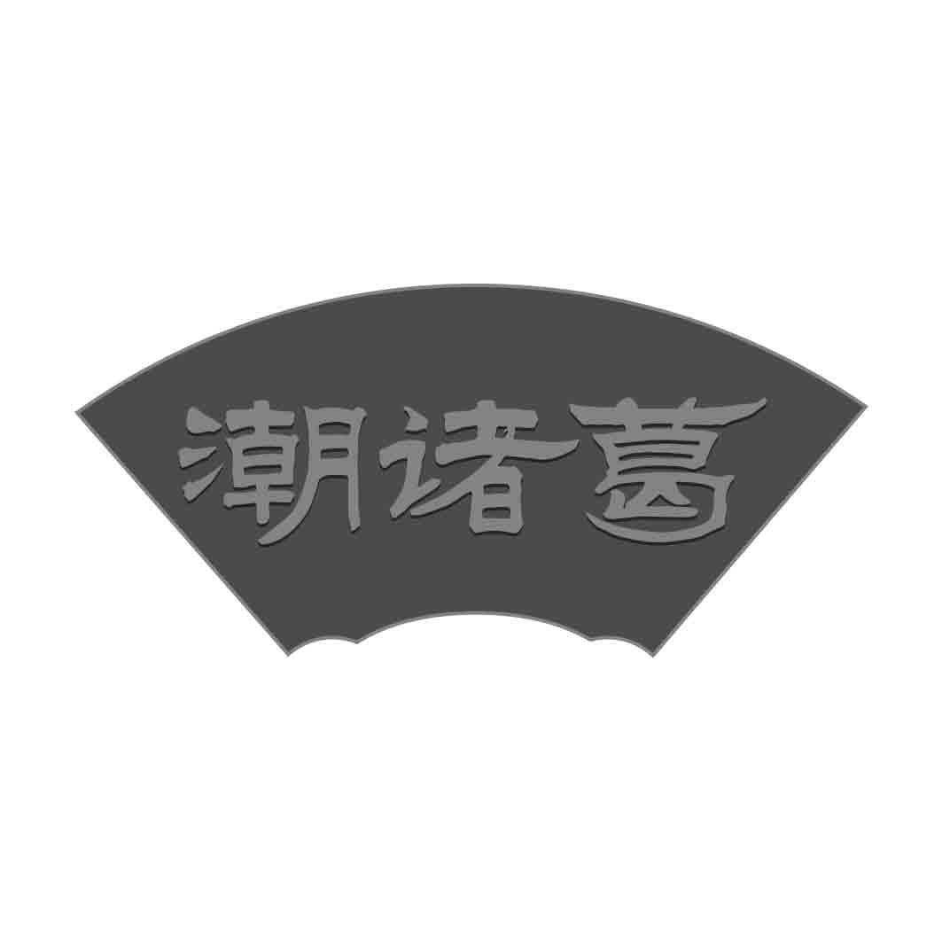 潮诸葛 