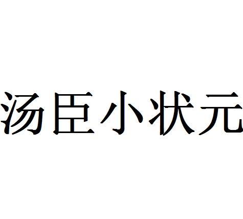 汤臣小状元