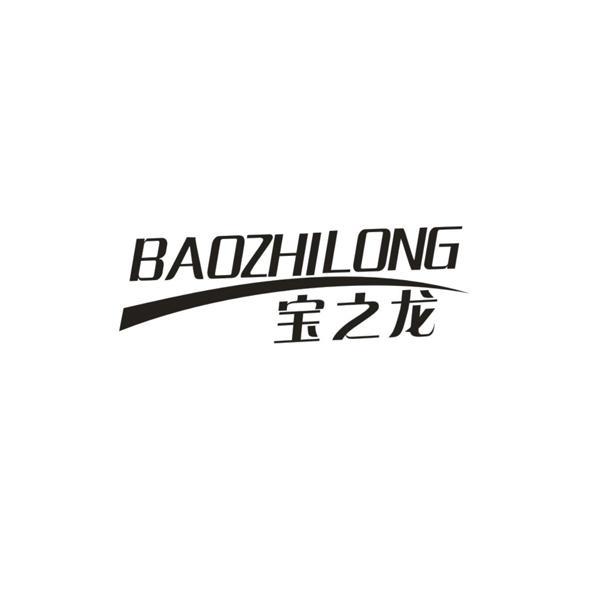 宝之龙