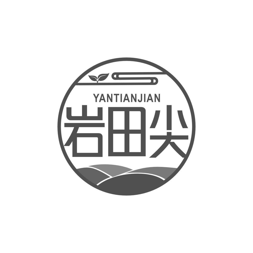岩田尖