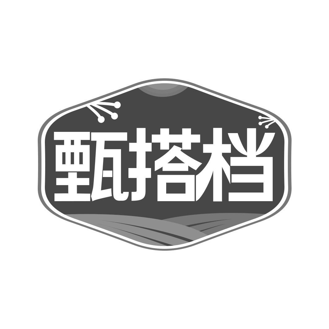  甄搭档 