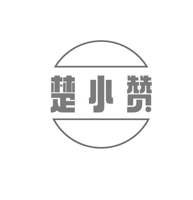 楚小赞