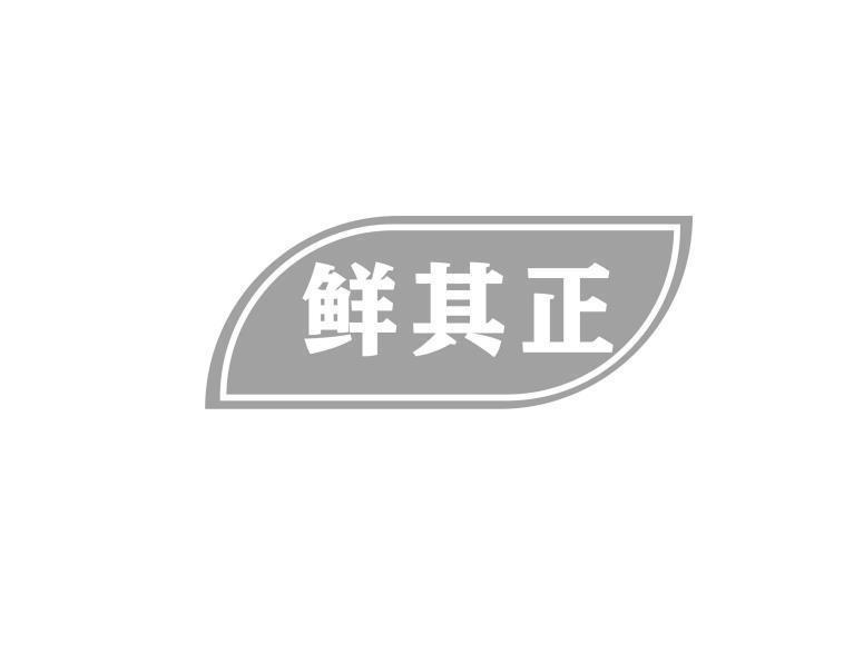 鲜其正