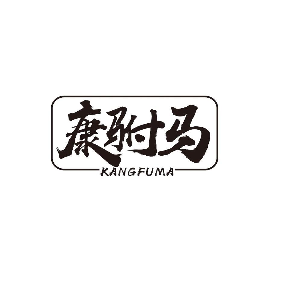 康驸马