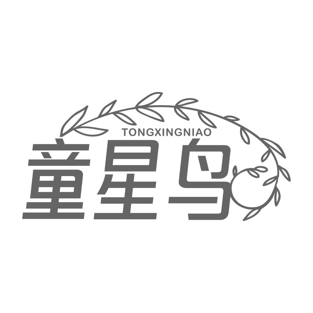 童星鸟