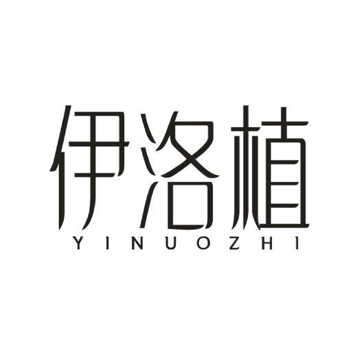 伊洛植 YINUOZHI