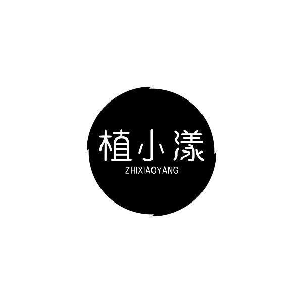 植小漾