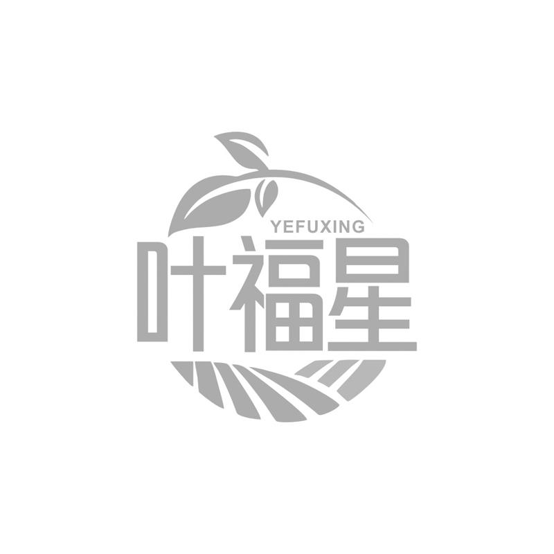 叶福星