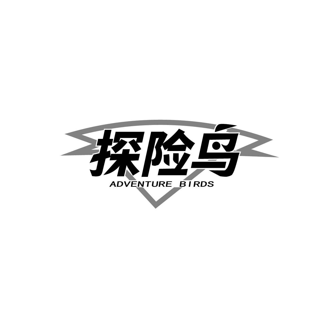 探险鸟 ADVENTURE BIRDS