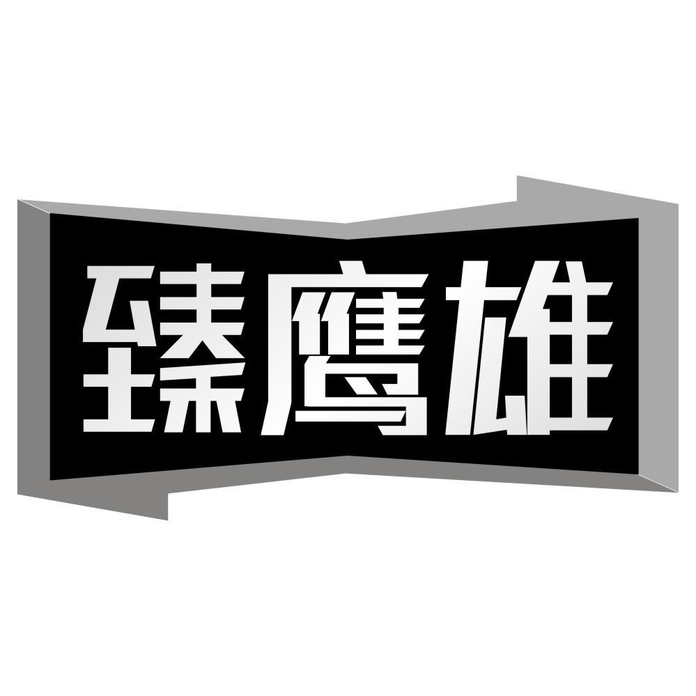 臻鹰雄