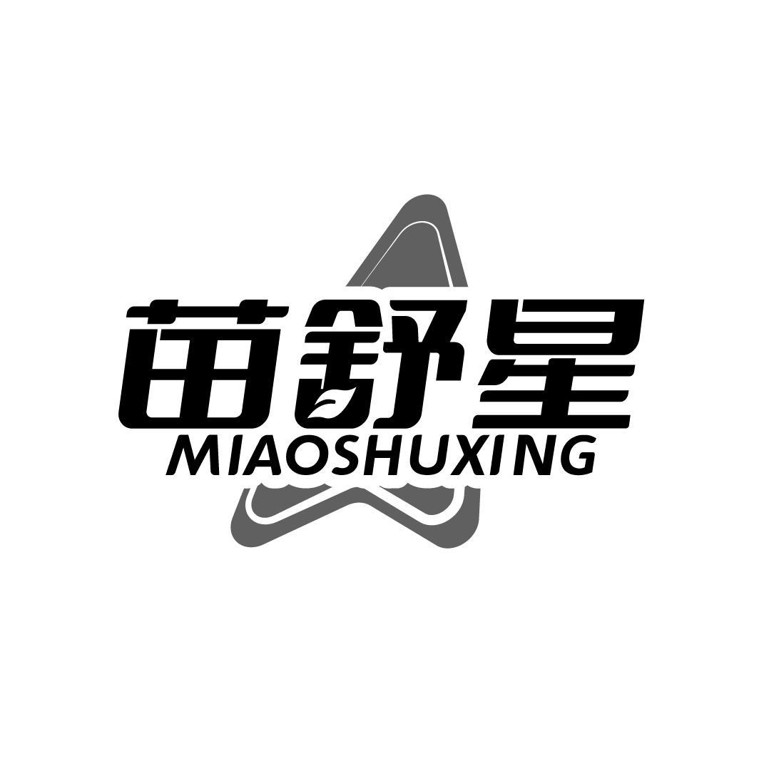 苗舒星 MIAOSHUXING