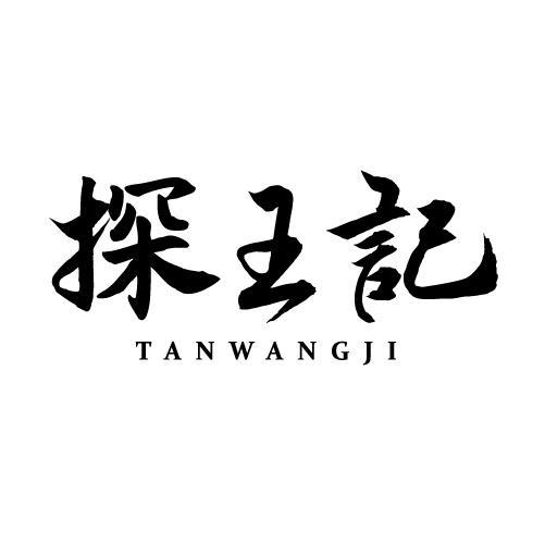 探王记