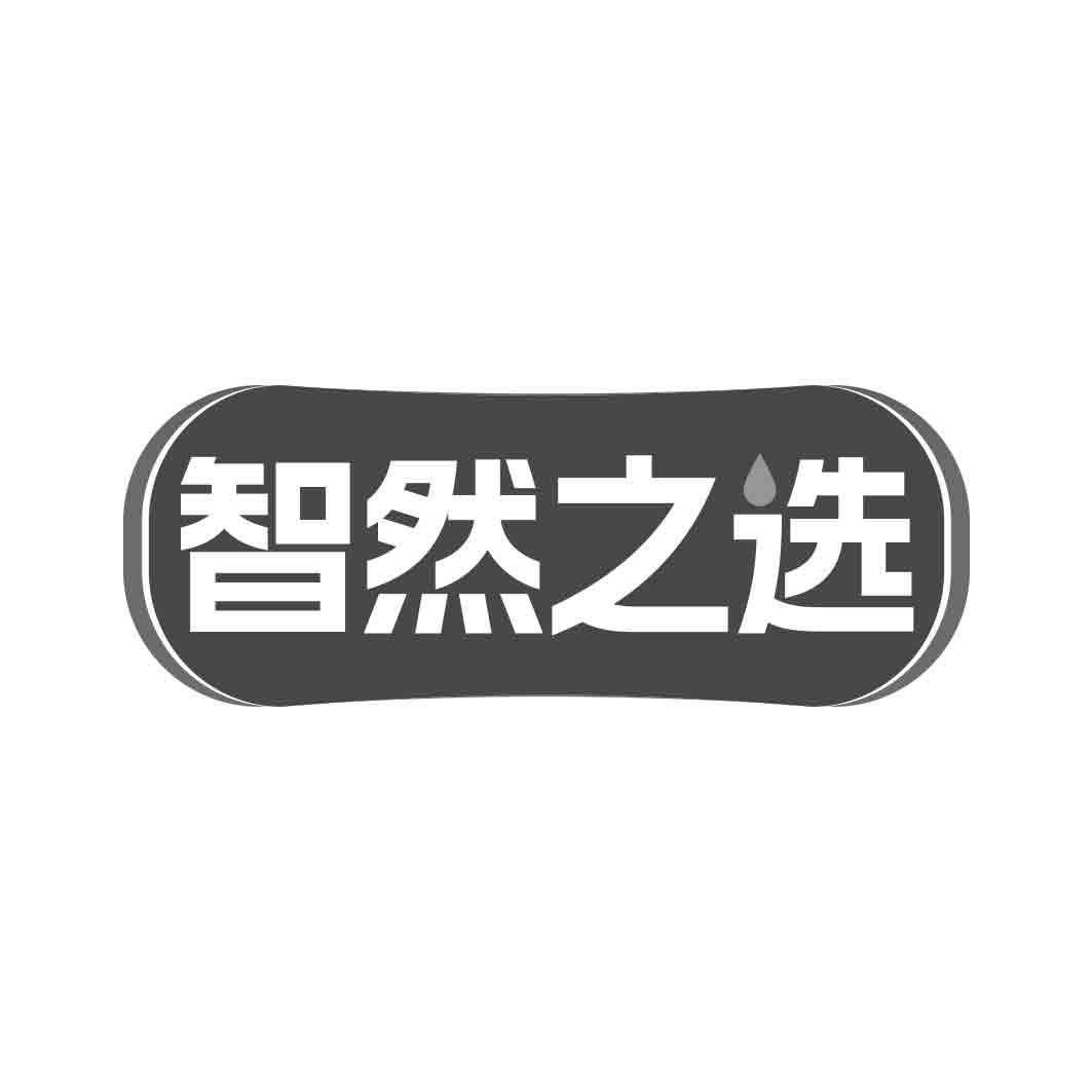 智然之选   
