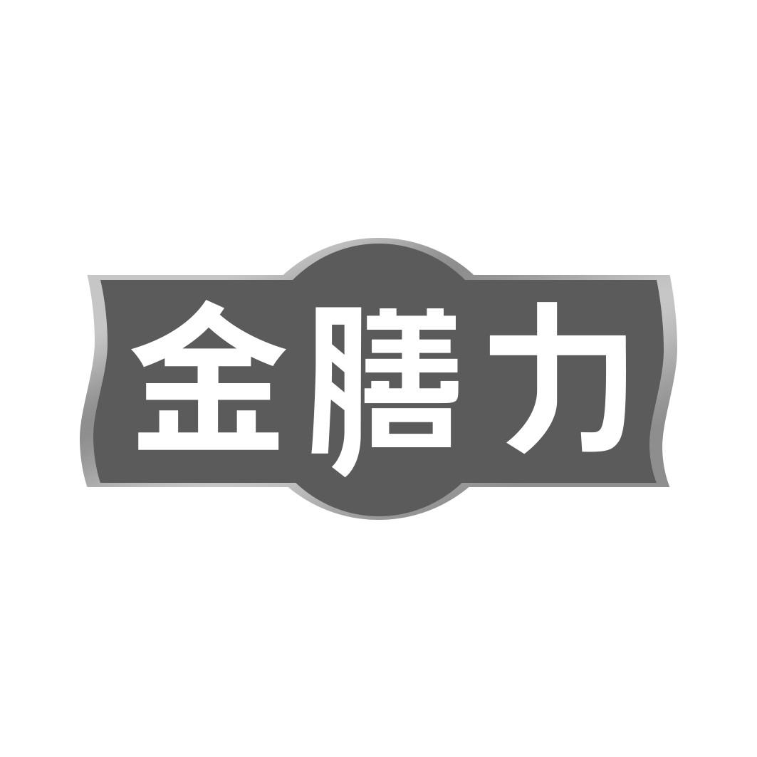 金膳力  