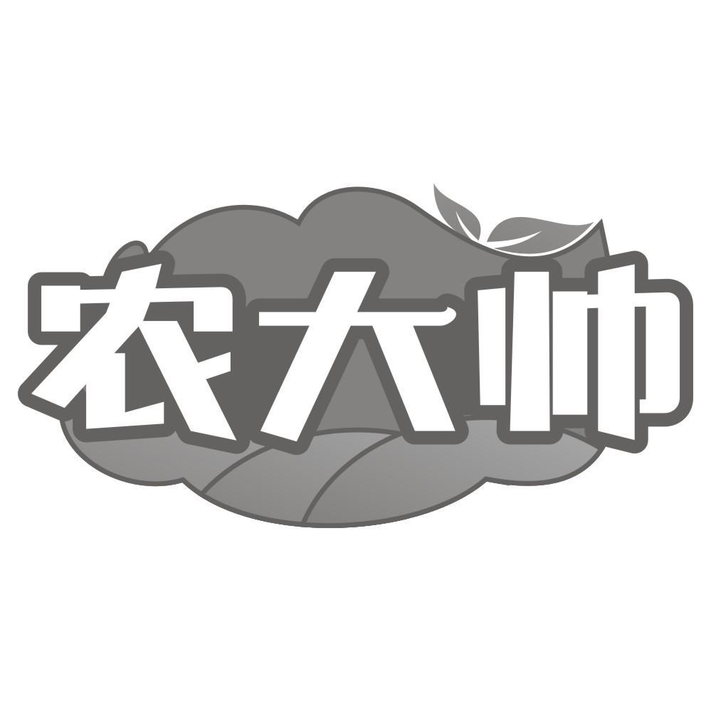 农大帅