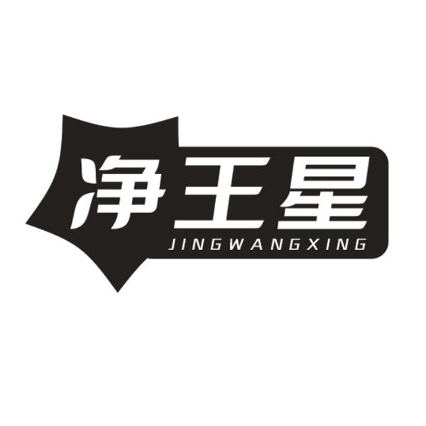 净王星