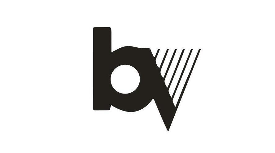 BV图形