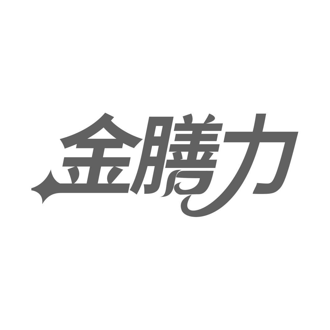 金膳力  